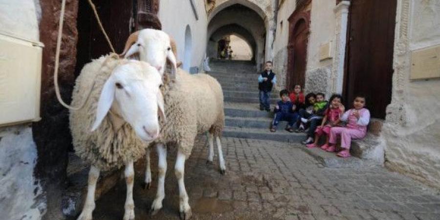 معهد البحوث الفلكية بمصر يكشف أول أيام عيد الأضحى