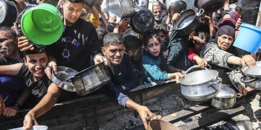 أقل من القليل.. إسرائيل أدخلت خمس شاحنات مساعدات إلى غزة بدلاً من تسع