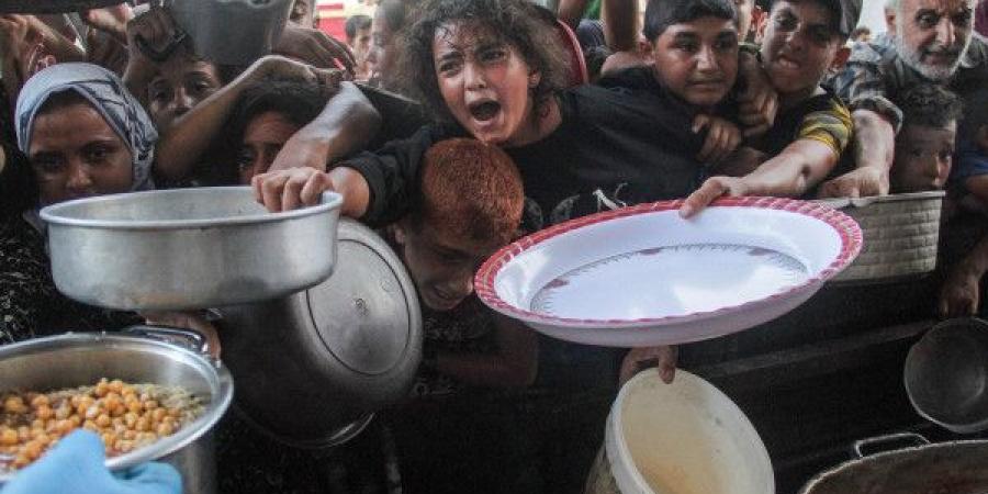 الأغذية العالمي: دخول مساعدات محدودة لا يكفي لدرء المجاعة بغزة