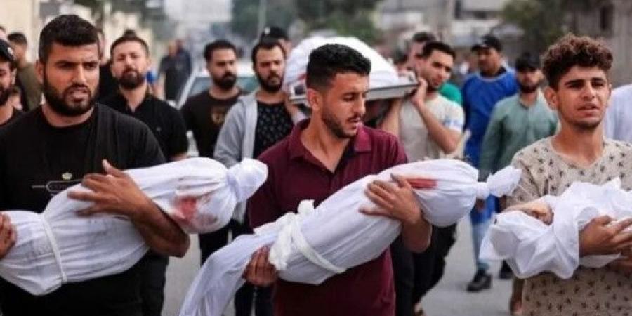 اتصالات مصرية مكثفة للتوصل لاتفاق ينهي الحرب على غزة