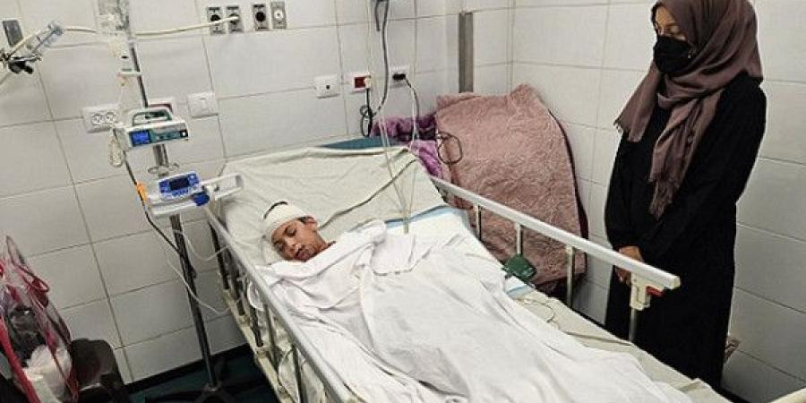 إيطاليا تعلن استعدادها لاستقبال الطفل الناجي من عائلة الطبيبة آلاء النجار في غزة