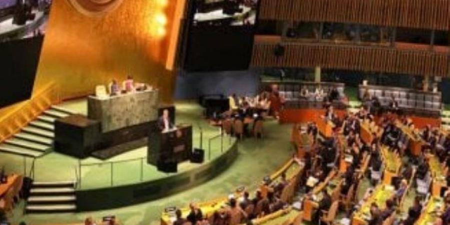 السماح فورا بدخول المساعدات لغزة.. المملكة المتحدة تنتقد إسرائيل بمجلس الأمن