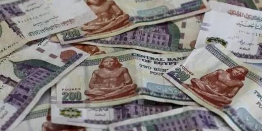 استولت على ملايين الجنيهات.. منصة VSA تخدع آلاف الضحايا في مصر