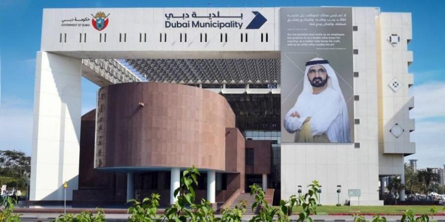 بلدية دبي تحصد 10 جوائز خلال الربع الثاني من العام الجاري