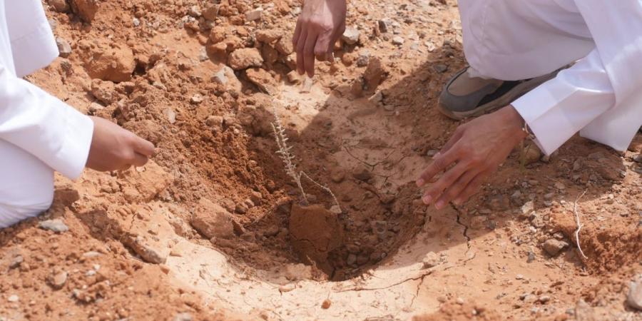 هيئة تطوير محمية الملك سلمان بن عبدالعزيز الملكية تطلق حملة "نصنع التأثير" لتنمية الغطاء النباتي