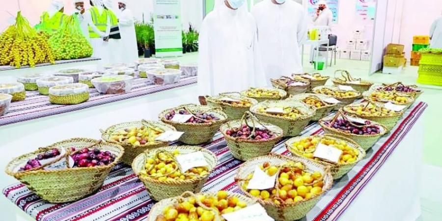 مهرجان الذيد للرطب ينطلق 23 الجاري