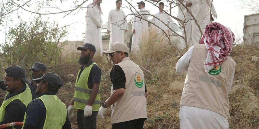 مبادرة لمكافحة «نبتة التبغ الكاذب»