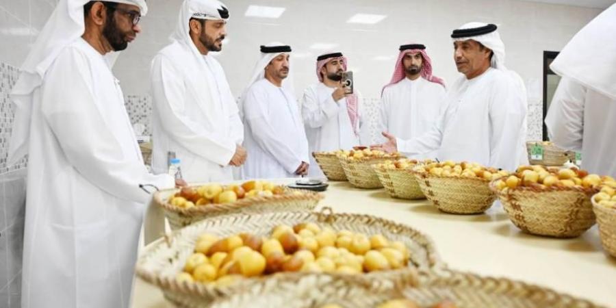 مبيعات «الذيد للرطب» تتجاوز مليوني درهم