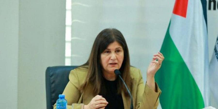 شاهين تطلع نائب الأمين العام والتعاون الاقتصادي على الاحتياجات الأساسية لقطاع غزة