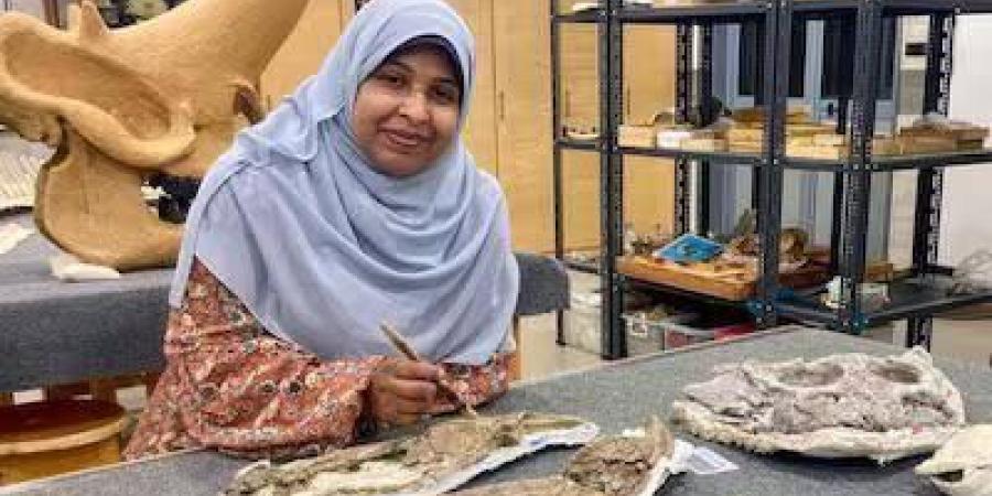 اكتشاف مذهل في صحراء مصر: بقايا تماسيح قديمة تعود إلى عصر الديناصورات