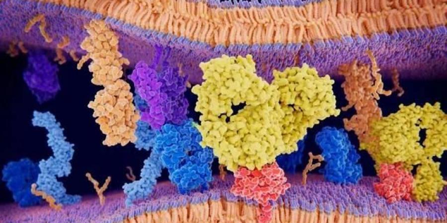 نموذج ذكاء اصطناعي يفهم لغة البروتينات