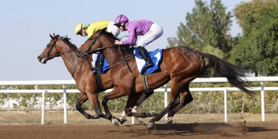 «الإمارات لسباق الخيل»: استحداث قسم النزاهة يدعم ريادة الدولة عالمياً