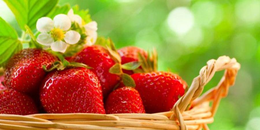 خبير يحذر: الفراولة قد تحتوي على أعلى مستويات المبيدات الكيميائية بين الفواكه