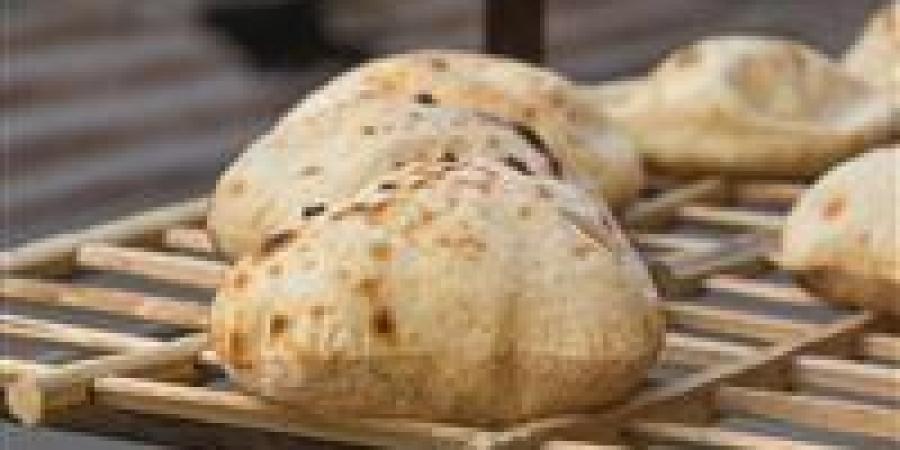 موعد تطبيق الدعم النقدي رسميًا.. الحكومة تضع اللمسات النهائية لبدء التحول الكامل