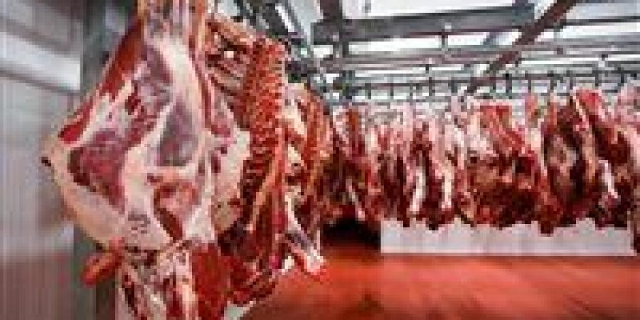 أسعار
      اللحوم
      والدواجن
      في
      منافذ
      التموين..
      وفرة
      في
      المعروض
      واستعدادات
      مبكرة
      لرمضان