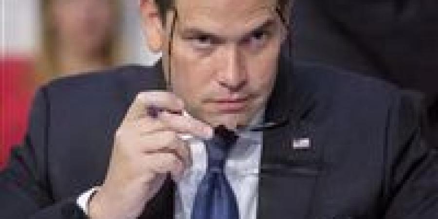 روبيو
      يعلن
      قرارات
      أمريكية
      مرتقبة
      بشأن
      الإخوان..
      عام
      السقوط
      الدولي
      وتصعيد
      أوروبي