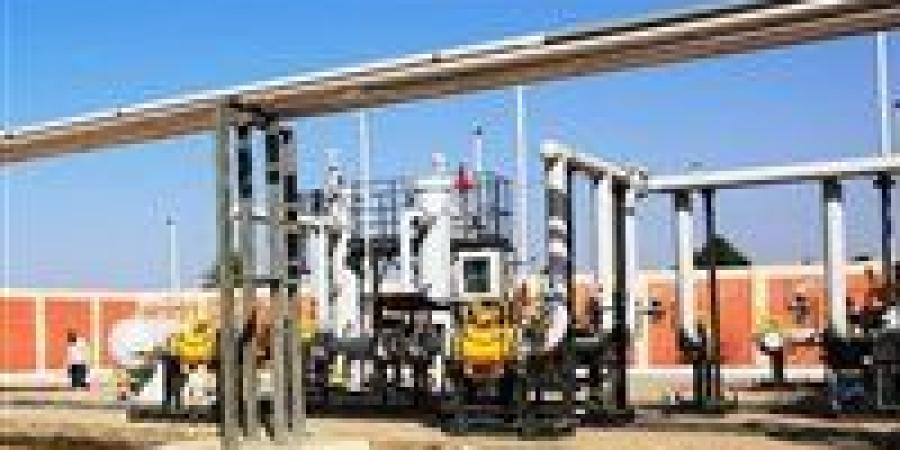 فى
      دفعة
      قوية
      لمسار
      التنمية..
      الدكتور
      إسماعيل
      كمال:
      إصدار
      تصاريح
      الحفر
      لبدء
      أعمال
      مد
      خطوط
      الغاز
      للقرى
      المدرجة
      بالمبادرة
      الرئاسية
      "حياة
      كريمة
      "