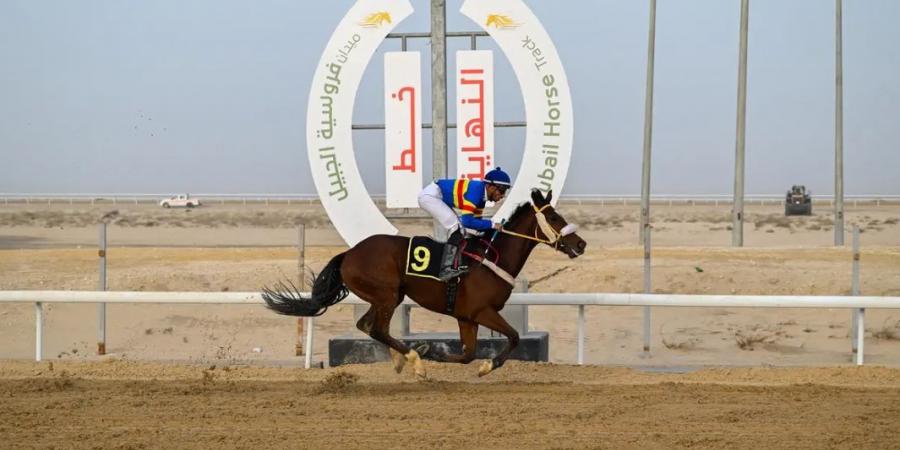 “فروسية
      الجبيل”
      ينظم
      ثاني
      سباقاته
      للموسم
      الحالي
      1447هـ