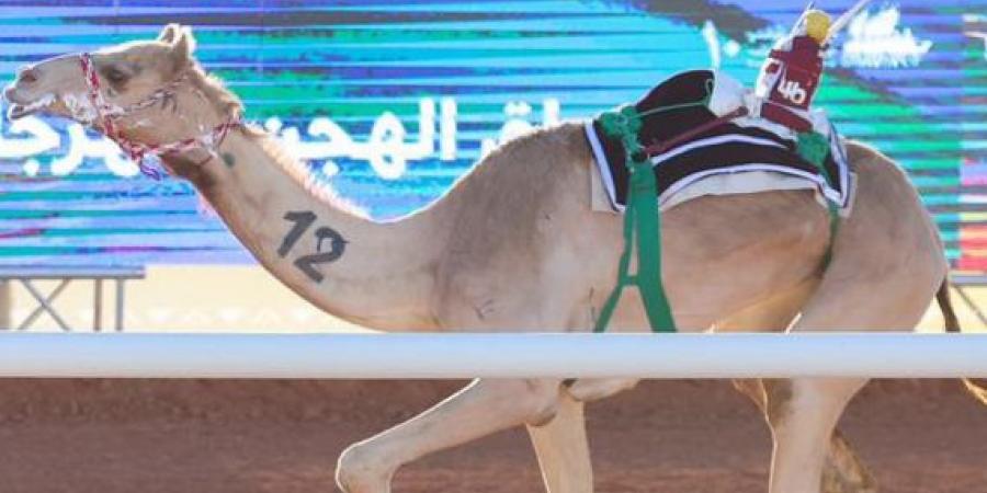 إعلان
      أسماء
      الفائزين
      في
      فئة
      “اللقايا”
      بجائزة
      الملك
      عبدالعزيز
      لسباقات
      الهجن