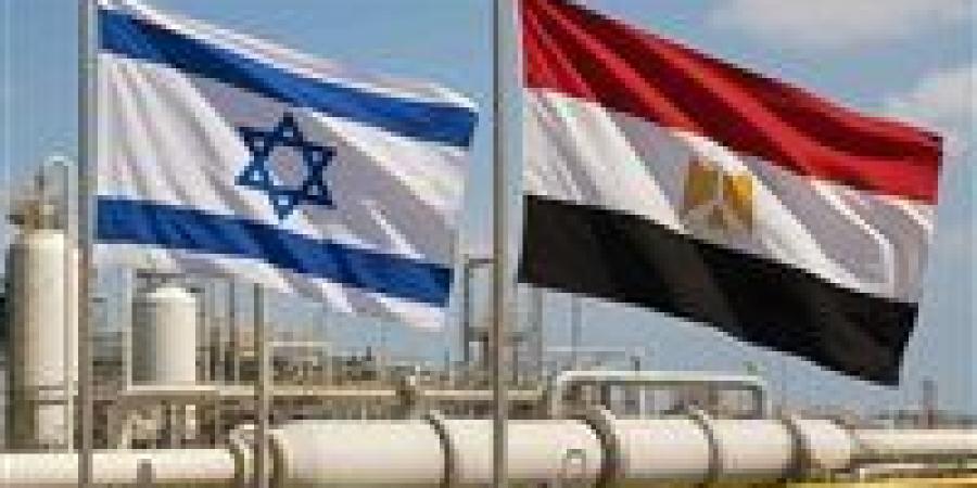 أحمد
      الشامي
      لـ
      تحيا
      مصر:
      اتفاقية
      الغاز
      رافد
      اقتصادي
      ودعم
      للتنمية
      الوطنية