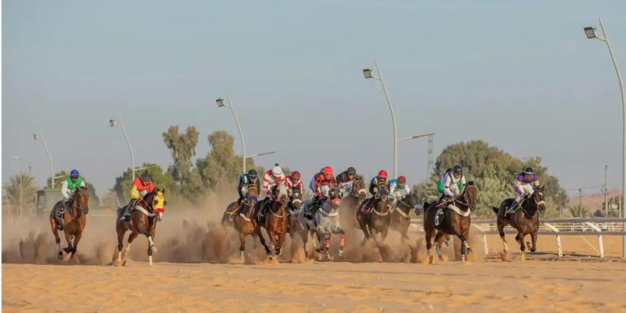 ميدان
      فروسية
      الجوف
      يختتم
      حفل
      السباقات
      الثالث
      بتتويج
      16
      فائزًا