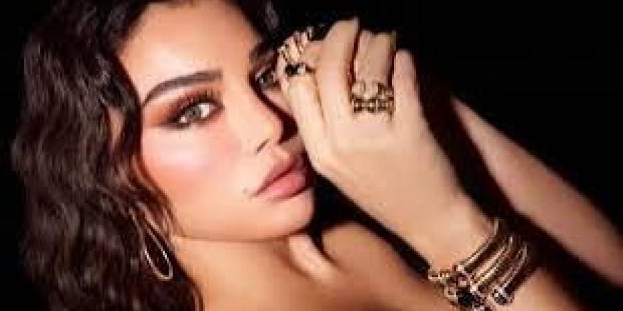 بعد إلغاء قرار وقفها عن الغناء.. هيفاء وهبي تشكر القضاء المصري: حصن العدالة