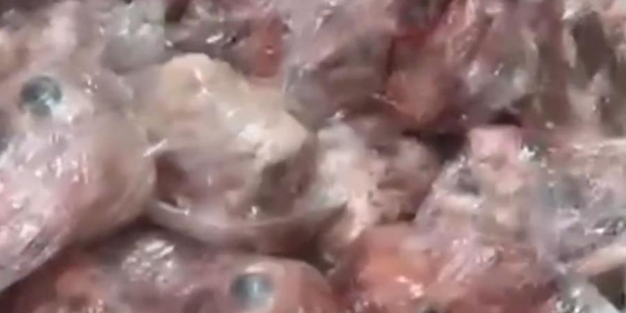 ضبط مستودع لتخزين وترويج لحوم فاسدة وغير صالحة للاستهلاك الآدمي