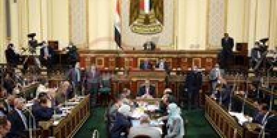 برلماني: توطين صناعة الغزل والنسيج ركيزة للأمن الصناعي وجهود الدولة متواصلة