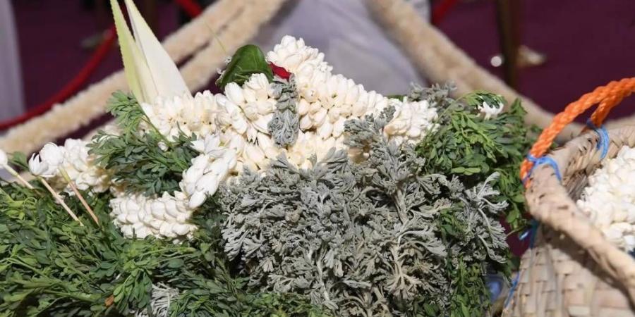 5 % نمو إنتاج أزهار القطف وفل جازان يتصدر بالثلث