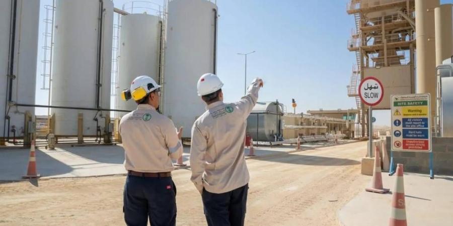 3 مهام وطنية لمواجهة الكوارث البيئية