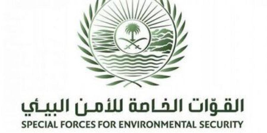 الأمن البيئي يضبط مواطنًا مخالفًا لنظام البيئة لإشعاله النار في غير الأماكن المخصصة لها في محمية الإمام فيصل بن تركي الملكية