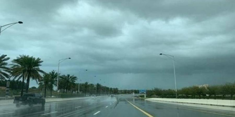 الإمارات.. أمطار خفيفة السبت ولمدة 3 أيام وضباب الجمعة