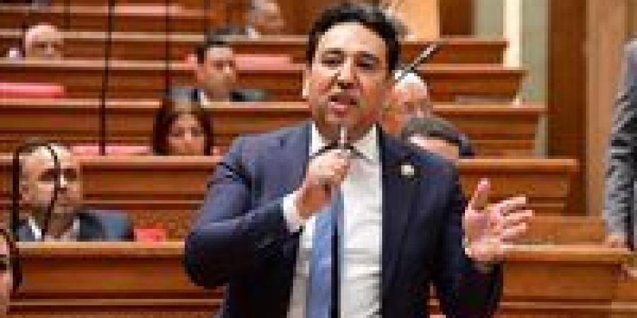 وكيل اقتصادية النواب: مصر تقود دبلوماسية متوازنة لخفض التصعيد عبر التنسيق مع القوى الدولية