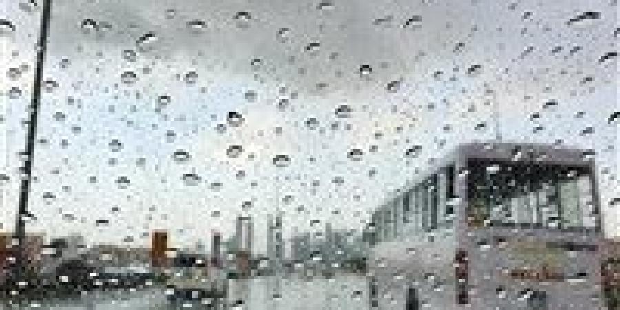 المدارس في قبضة الطقس.. قرار عاجل بـ تعطيل الدراسة اليوم الخميس ومنح إجازة رسمية للطلاب والمعلمين بالعاصمة والأقاليم