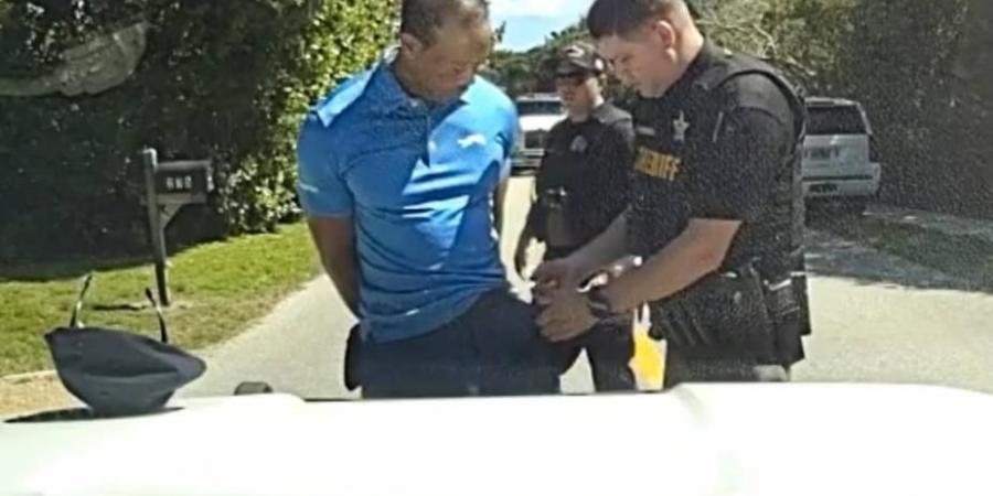 هل تحدث نجم الجولف تايغر وودز مع ترامب قبل توقيفه؟