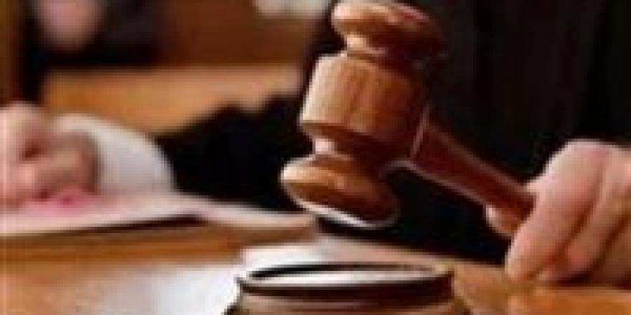 جنايات المنصورة تواصل نظر محاكمة سيدة متهمة بالاتجار بالبشر وتزوير نسب طفلين للاستيلاء على ميراث