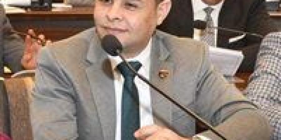 النائب مدحت الكمار: قانون الإدارة المحلية يعزز اللامركزية ويحدث نقلة نوعية في الإدارة المحلية