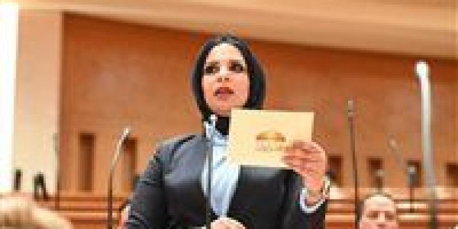 مروة حلاوة تتقدم بطلب إحاطة لوزير الرياضة بشأن تدهور أرضيات الملاعب المصرية