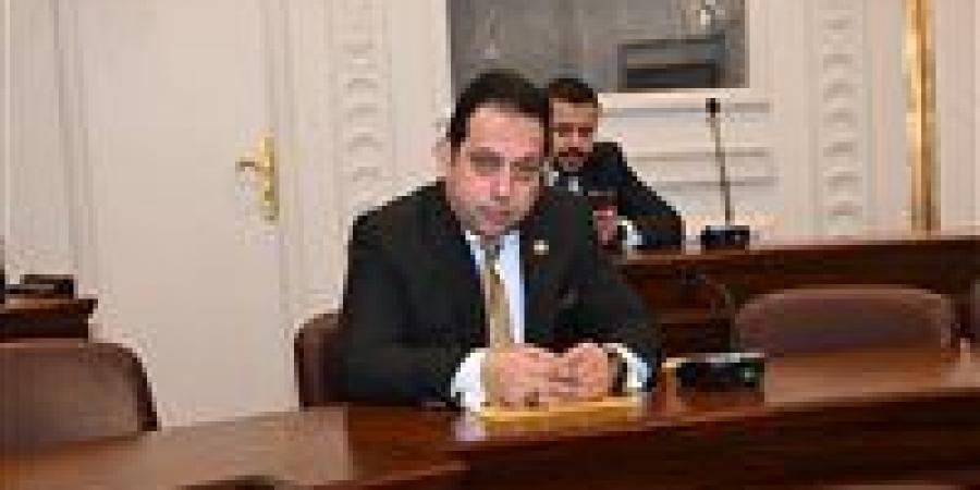 النائب محمد الجندي يطالب بتشديد الرقابة على الأسواق وتطوير دور البورصة السلعية