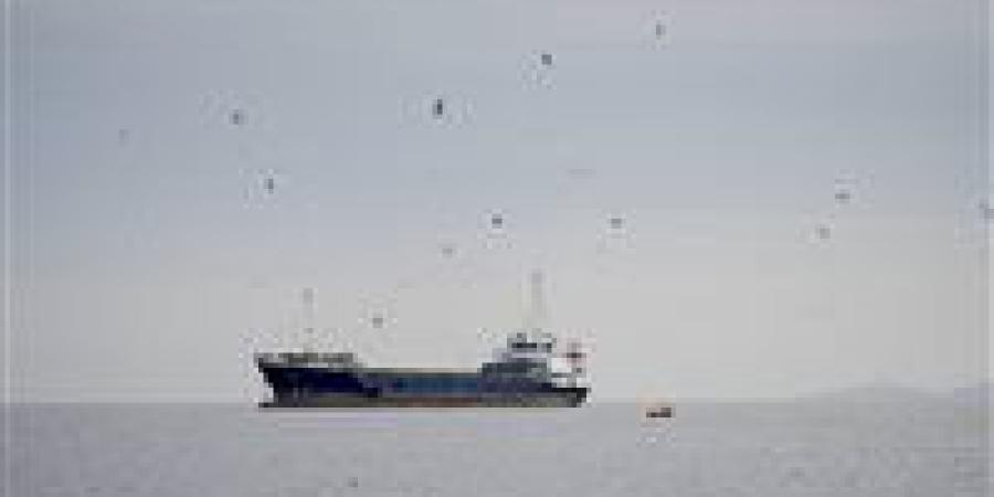 مضيق
      هرمز
      تحت
      الحصار..
      قصة
      الصراع
      الذي
      قد
      يدفع
      أسعار
      النفط
      لقمم
      غير
      مسبوقة