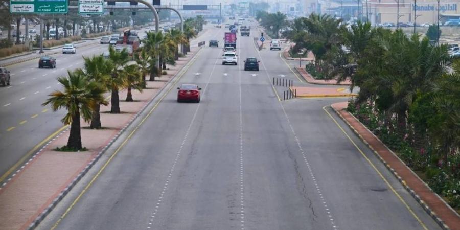 زراعة 3.3 ملايين شجرة بالشرقية