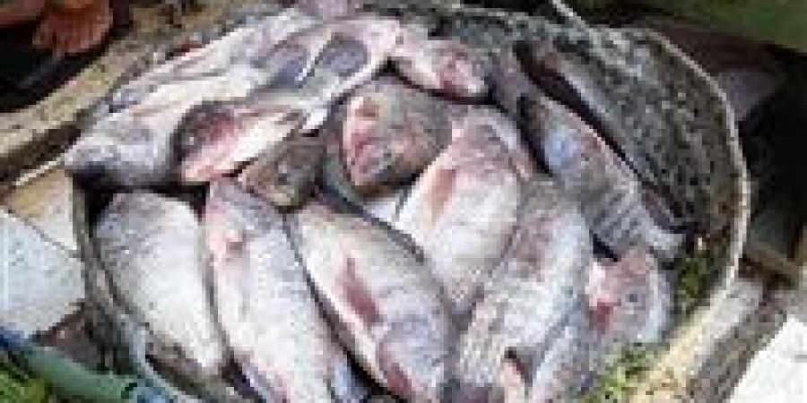 أسعار
      السمك
      اليوم
      جملة
      وقطاعي..
      تفاوت
      ملحوظ
      يربك
      حركة
      البيع