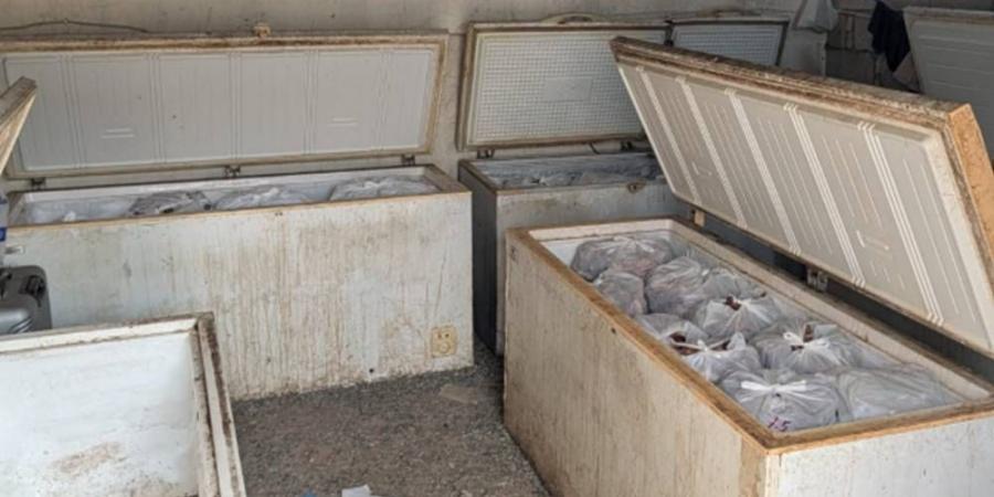 ضبط 70 طنا من المواد الفاسدة بجدة خلال 3 أشهر