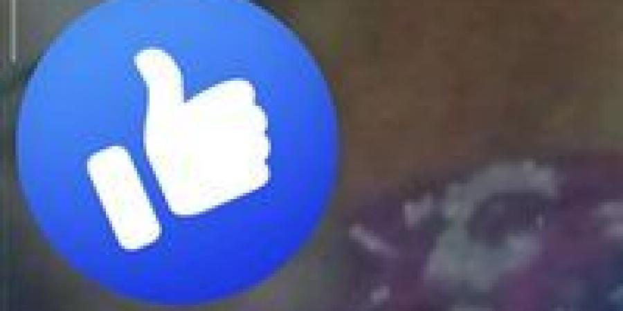 أمن
      الغربية
      يضبط
      سيدة
      ظهرت
      فى
      مقطع
      فيديو
      مخل