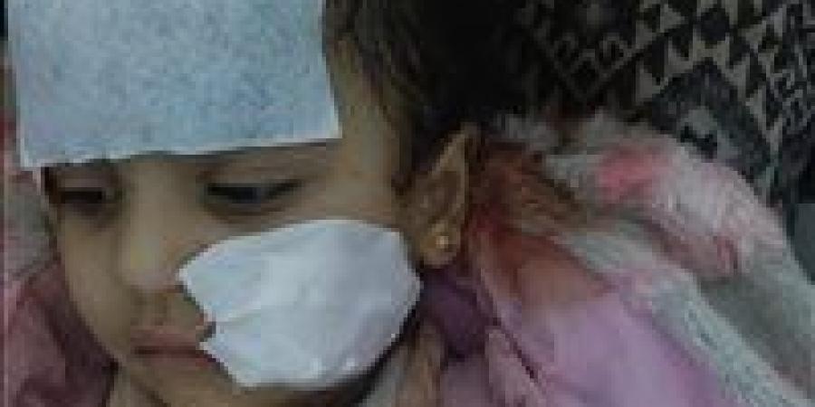 إخلاء
      سبيل
      “لوبا
      الحلو”
      بكفالة
      20
      ألف
      جنيه
      في
      واقعة
      هجوم
      شبل
      العجوزة