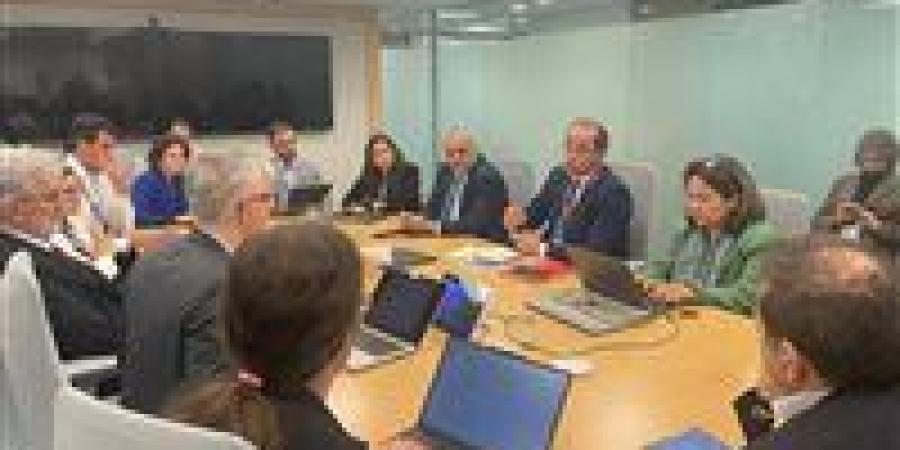 وزير المالية: السلطات المصرية تعاملت مع الأزمة الراهنة بمنهجية سريعة واستباقية.. حظيت بتقدير المؤسسات الدولية