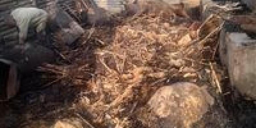 حريق
      يلتهم
      حظيرة
      وجهاز
      عروسة
      في
      قرية
      كفر
      جنزور
      بالمنوفية