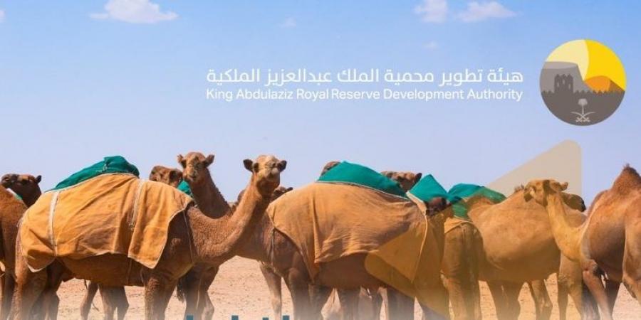 محمية الملك عبدالعزيز الملكية: منع الرعي داخل حدودها وتطبيق غرامات تصل إلى 500 ريال للرأس