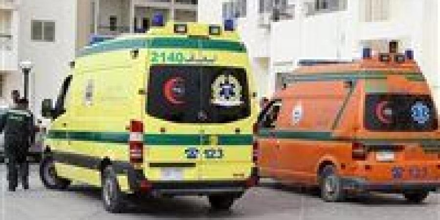 دون
      وفيات
      وجميعهما
      من
      أسرة
      واحدة..
      ننشر
      اسماء
      المصابين
      الـ
      16
      عاملًا
      في
      حادث
      ميكروباص
      أمام
      محور
      سمالوط