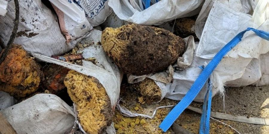 ضبط
      ١١٨
      طن
      مخلفات
      غذائية
      فاسدة
      و٤٨٠
      كجم
      مصنعات
      دواجن
      مجهولة
      المصدر
      بالشرقية